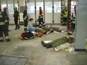 Państwowa Straż Pożarna