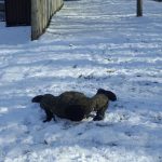 Klasy mundurowe Jaworzno