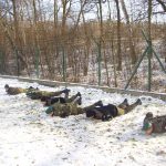 Klasy mundurowe Jaworzno