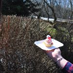 Ogólnopolski Konkurs Informatyczny MASTER IT