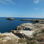 Praktyki zagraniczne