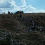 Praktyki zagraniczne